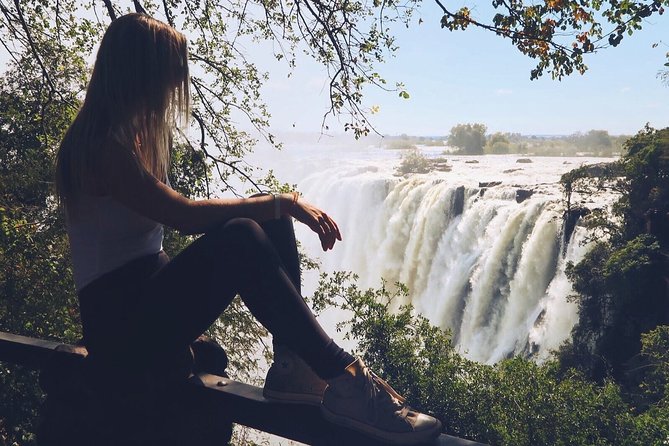 Victoria Falls Historical Bridge Tour ! - The bridge stop: what you see, where you walk, and what to expect