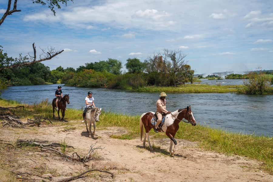 Victoria Falls National Park: Horseback Safari - Key highlights you’ll notice right away