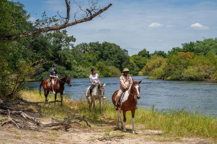 Victoria Falls National Park: Horseback Safari - Why this horseback safari works near Victoria Falls