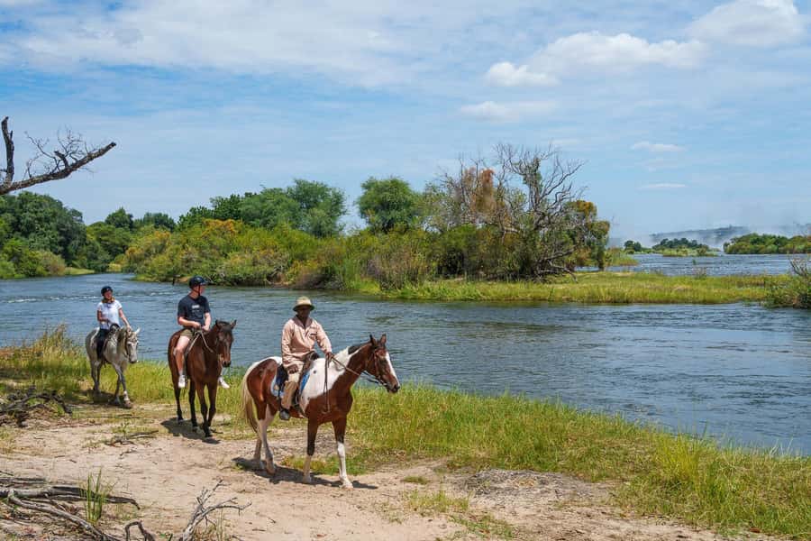 Victoria Falls National Park: Horseback Safari - Lunch at the stables: how the day closes