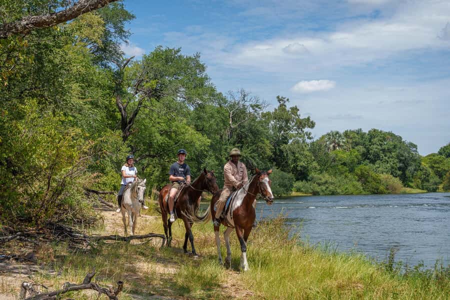Victoria Falls National Park: Horseback Safari - Price and value: what $115 buys you