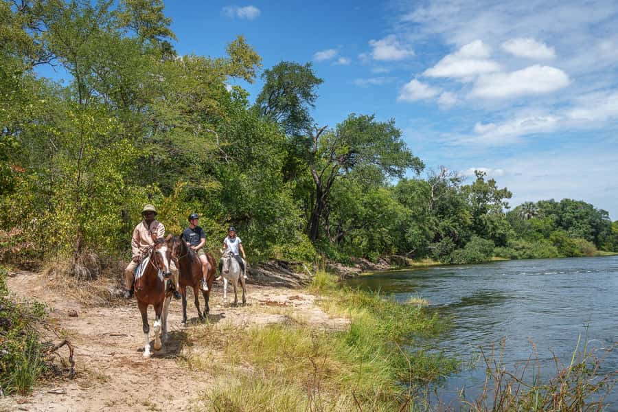 Victoria Falls National Park: Horseback Safari - Who this horseback safari is for