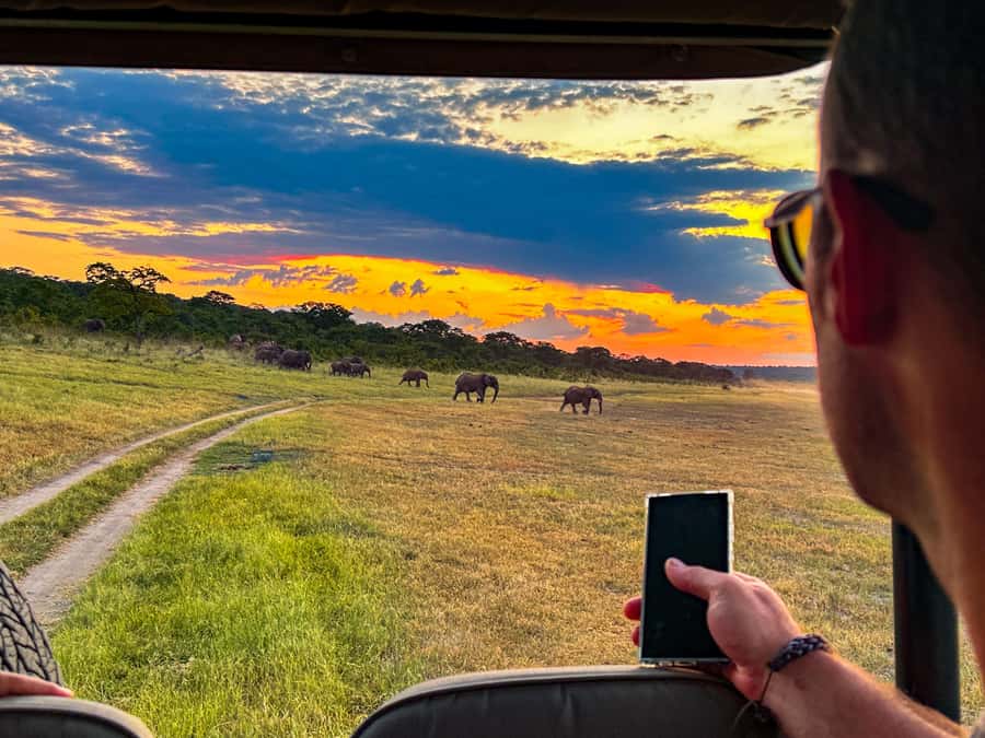 Victoria Falls: Night Game Drive Zambezi National Park - Key things that make this night safari worth your time