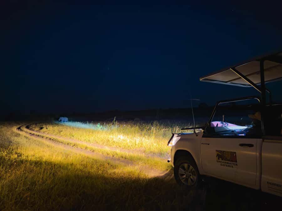 Victoria Falls: Night Game Drive Zambezi National Park - Wildlife sightings are the prize, but the hunt is the point
