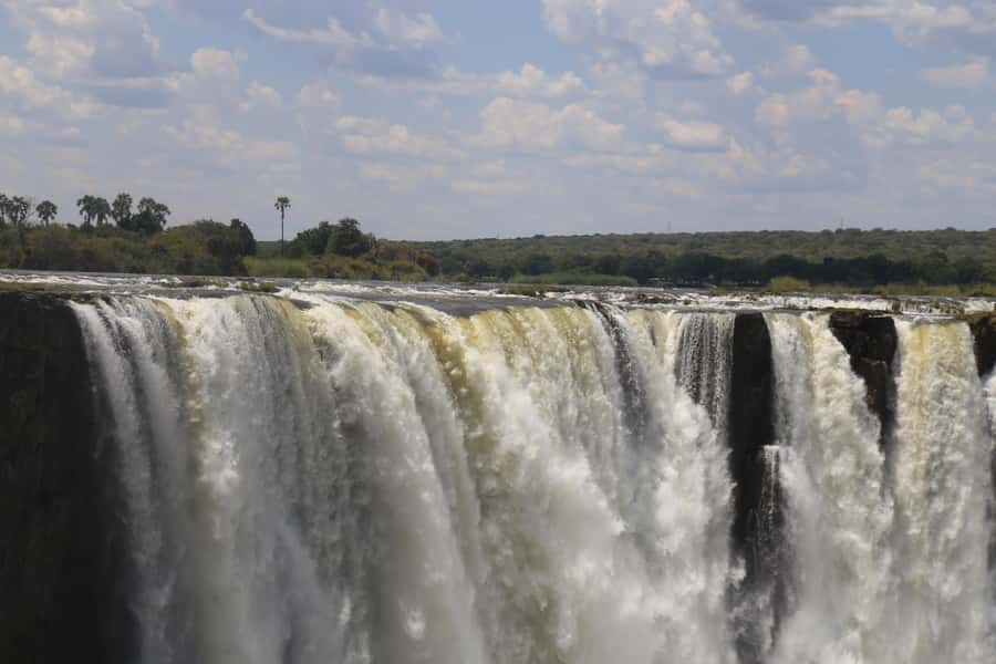 Victoria Falls Private Tour with Lunch & Helicopter Flight - Afternoon market time and the Big Tree baobab stop
