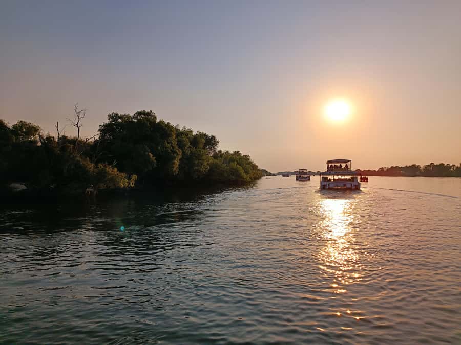 Victoria Falls: Private Zambezi River Birdwatching Safari - Key highlights to look for on this Zambezi bird safari