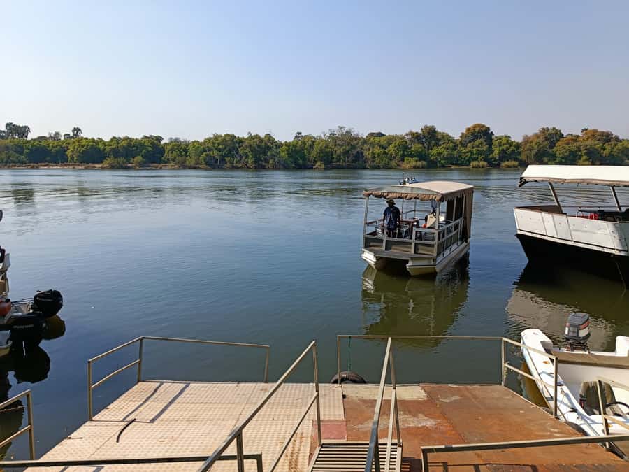 Victoria Falls: Private Zambezi River Birdwatching Safari - The bird targets that make this safari worth it
