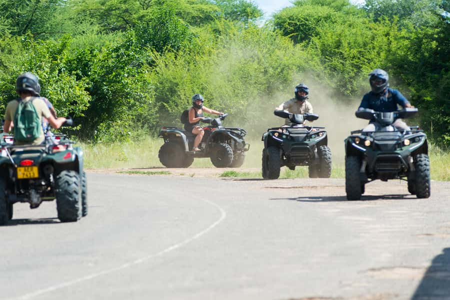Victoria Falls Quad Bike Adventure - Big Tree baobab: a 1500-year-old stop that actually changes the mood
