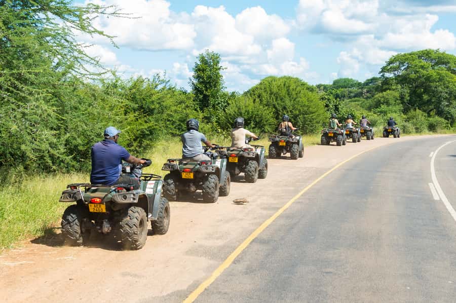 Victoria Falls Quad Bike Adventure - Wildlife viewing in the park: timing and expectations