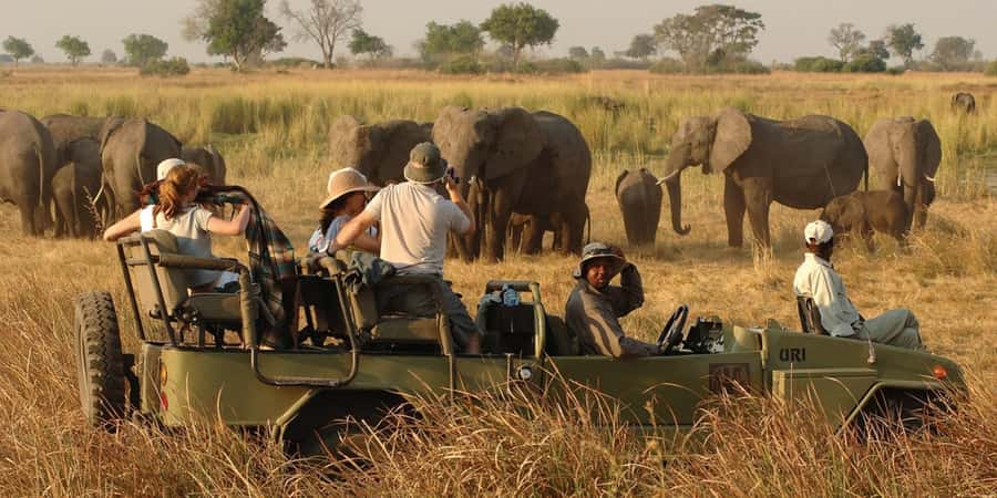 Victoria Falls Safari with Lunch and Sunset Cruise - From 7:00 AM pickup to wild-country game drive
