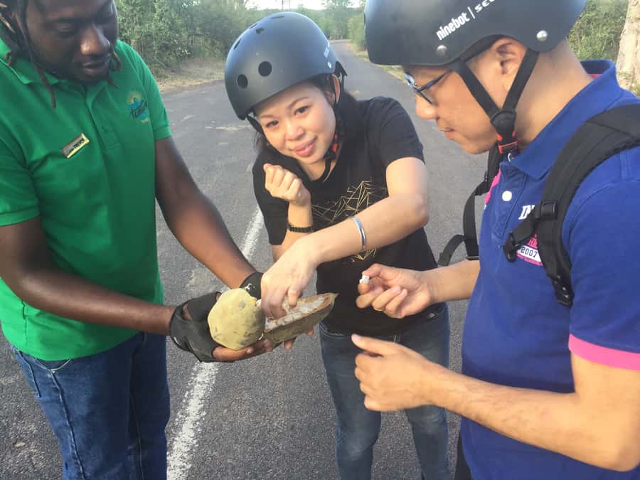 Victoria Falls Segway Tour - Prinlin Safari Travels to the town-centre sights