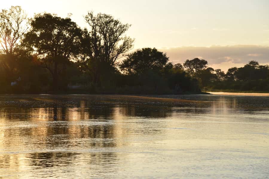 Victoria Falls: Sunrise Cruise on the Zambezi River - The Zambezi at first light: birds, hippos, crocodiles, and more
