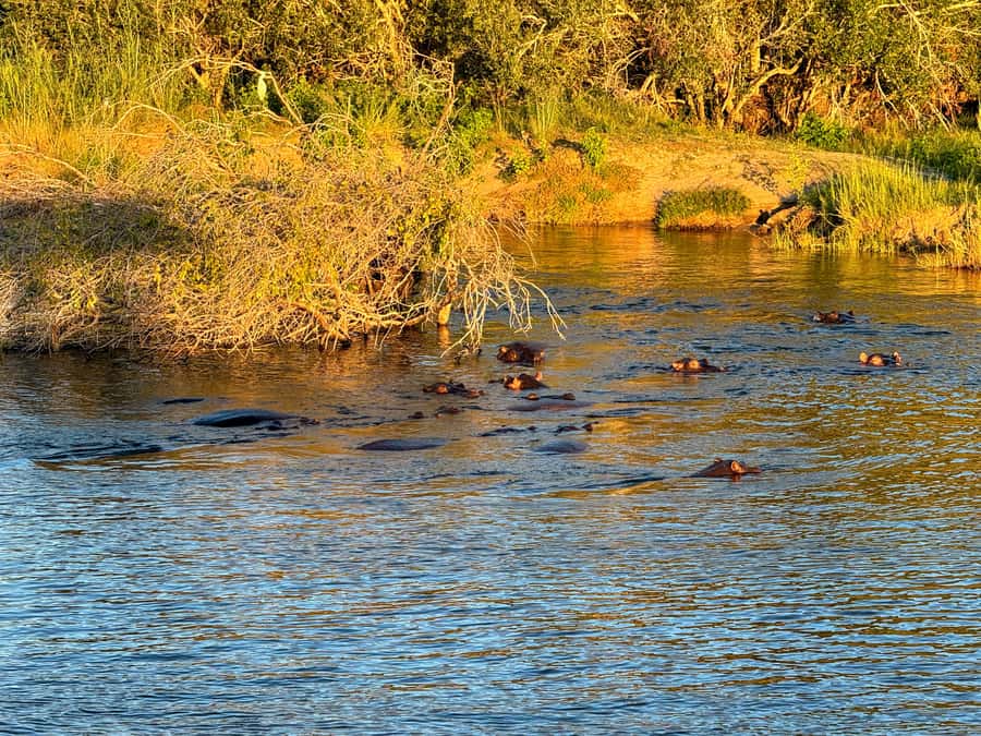 Victoria Falls: Sunset Cruise on the Zambezi River - On the Water: What the 2-Hour Cruise Feels Like