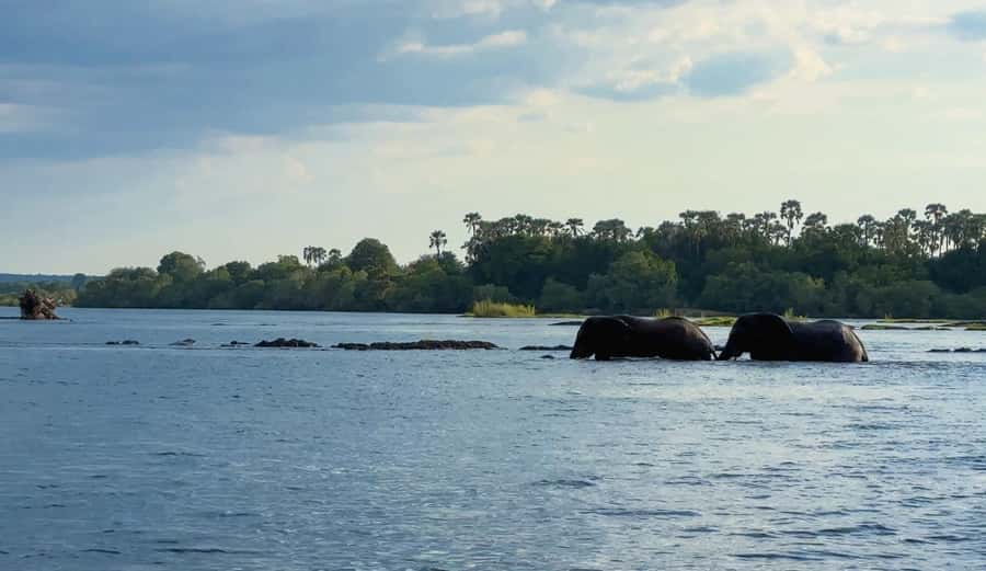 Victoria Falls: Sunset Cruise on the Zambezi River - The Sunset Factor: How to Photograph It and What to Do If Clouds Roll In