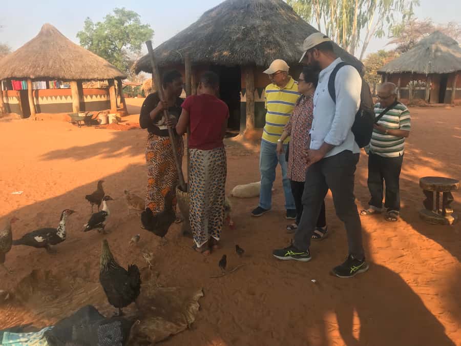 Victoria Falls: Village Life Experience - Key things I’d look for on this Victoria Falls village day