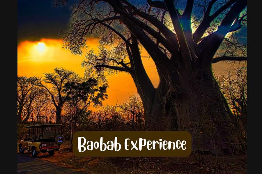 Victoria Falls: Vulture Safari and Bush Walk - Riding in an open 4x4, not just seeing Victoria Falls