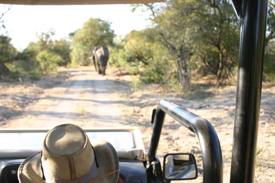Victoria Falls: Vulture Safari and Bush Walk - Timing, duration, and how to plan your day in Victoria Falls