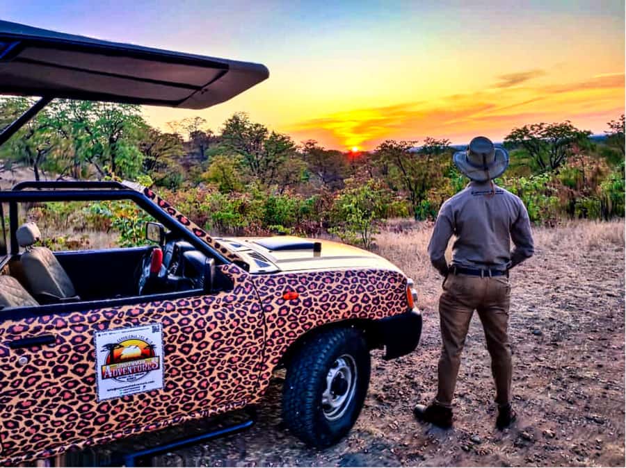 Victoria Falls: Vulture Safari and Bush Walk - Practicalities: what to bring and what to expect from your guide