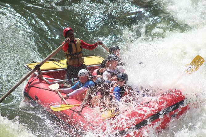 Victoria Falls: Whitewater Rafting + Chobe Safari Combo - Key Highlights You Should Know