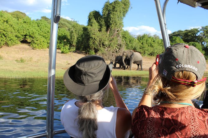 Victoria Falls: Whitewater Rafting + Chobe Safari Combo - Transfers, Group Size, and Why the Timing Feels Easier