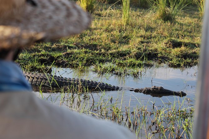 Victoria Falls: Whitewater Rafting + Chobe Safari Combo - Who This Combo Suits Best (and Who Might Want Something Else)