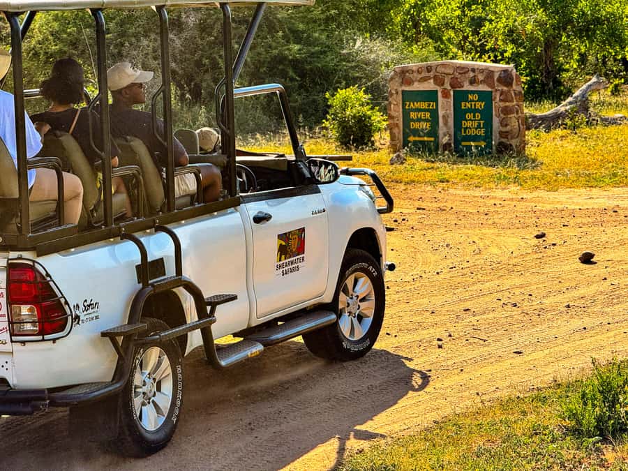 Victoria Falls: Zambezi National Park Game Drive - Wildlife you can realistically hope to see, plus birds