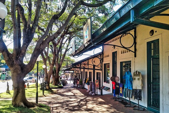 Walking Safari of Victoria Falls Town - Starting at N1 Hotel and getting your bearings on Mallet Drive