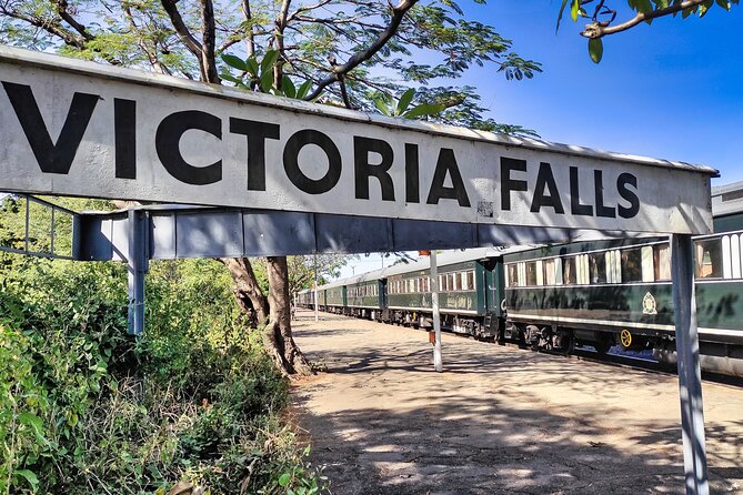 Walking Safari of Victoria Falls Town - The African bush path, wildlife odds, and gorge panoramas