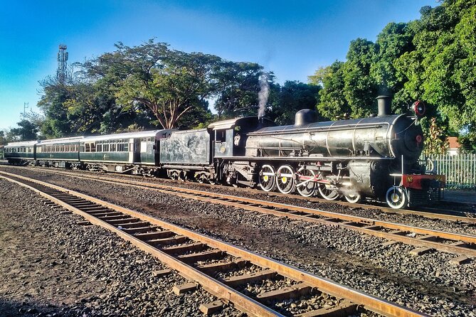 Walking Safari of Victoria Falls Town - Price and value: $35 for a guided town-to-bush mix