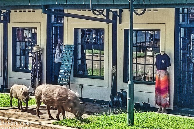 Walking Safari of Victoria Falls Town - Victoria Falls Hotel bridge views, lobby stories, and the mist factor