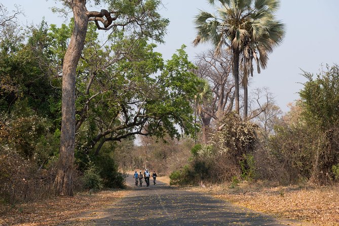 Wild Horizons Bike Tour (Zimbabwe) - The Zambezi River stretch: Big Tree and Bakota Gorges style scenery