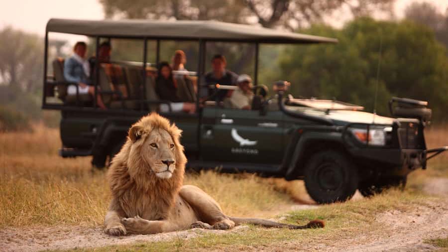 Zambezi 3hr Game Drive - Zambezi National Park in 3 Hours: Fast, Focused, and Real
