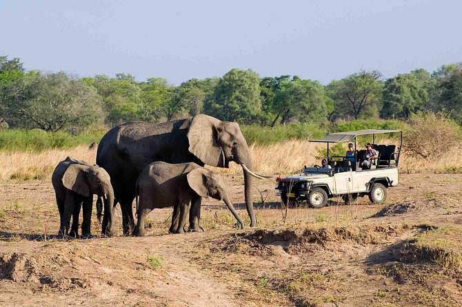 Zambezi National Park AM or PM Game Drive - A 2.5 to 3-hour game drive that fits your day