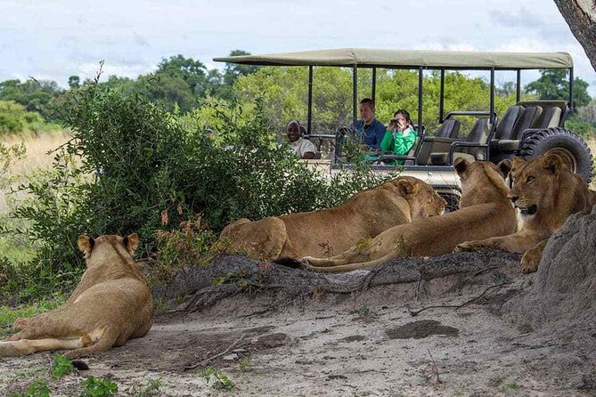 Zambezi National Park AM or PM Game Drive - Price and value: is $105 worth a short guided safari?