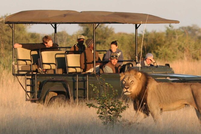 Zambezi National Park AM or PM Game Drive - Who should book the AM or PM Zambezi drive