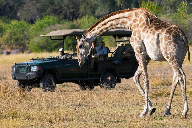 Zambezi National Park AM or PM Game Drive - Pickup, small groups, and a guide you can actually talk to