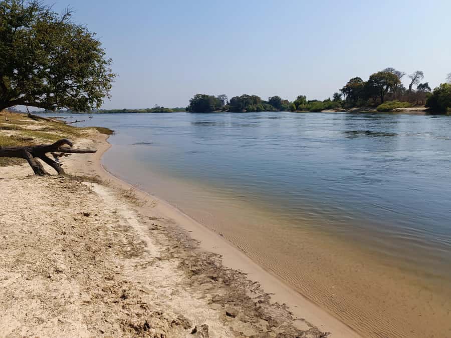 Zambezi National Park Private Wildlife Safari (4 - 10 hours) - Price and value: what $180 covers, and what to budget for