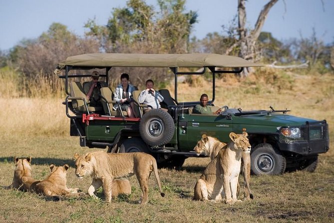 Zambezi Sunset Cruise + Game Drive Safari with hotel Pick Up - Hotel pickup and the 8:30 am start, with a flexible safari slot