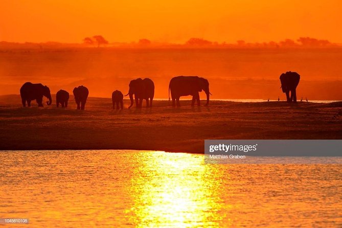 Zambezi Sunset Cruise + Game Drive Safari with hotel Pick Up - The game drive: how the safari part feels in real life