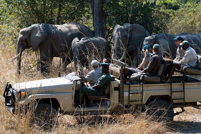 Zambezi Sunset Cruise + Game Drive Safari with hotel Pick Up - Upper Zambezi sunset cruise: what you get and what to watch for