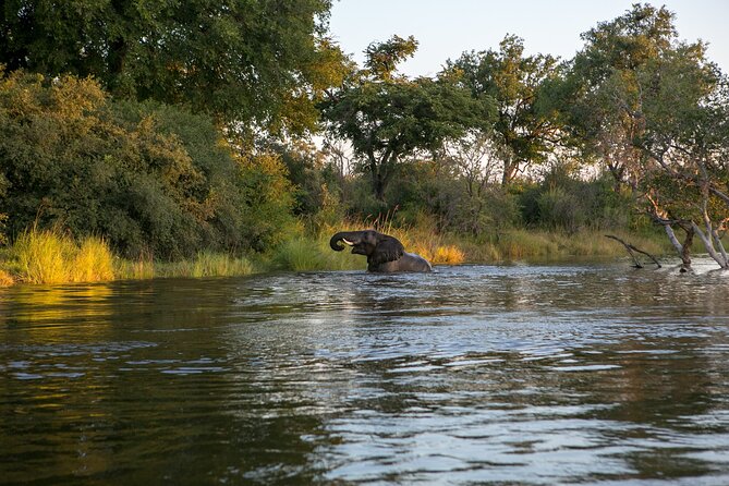 Zambezi Sunset Cruise – Wildlife, Drinks & Breathtaking Views - Boarding at Azambezi River Lodge, Pickup, and the Flow of the Evening