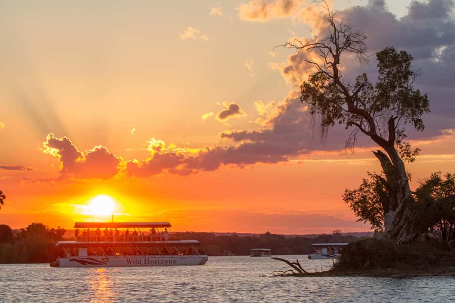 Zimbabwe: Sundowner Cruise (Standard) Zambezi River - Wildlife spotting on the river: hippos, crocs, elephants, and more